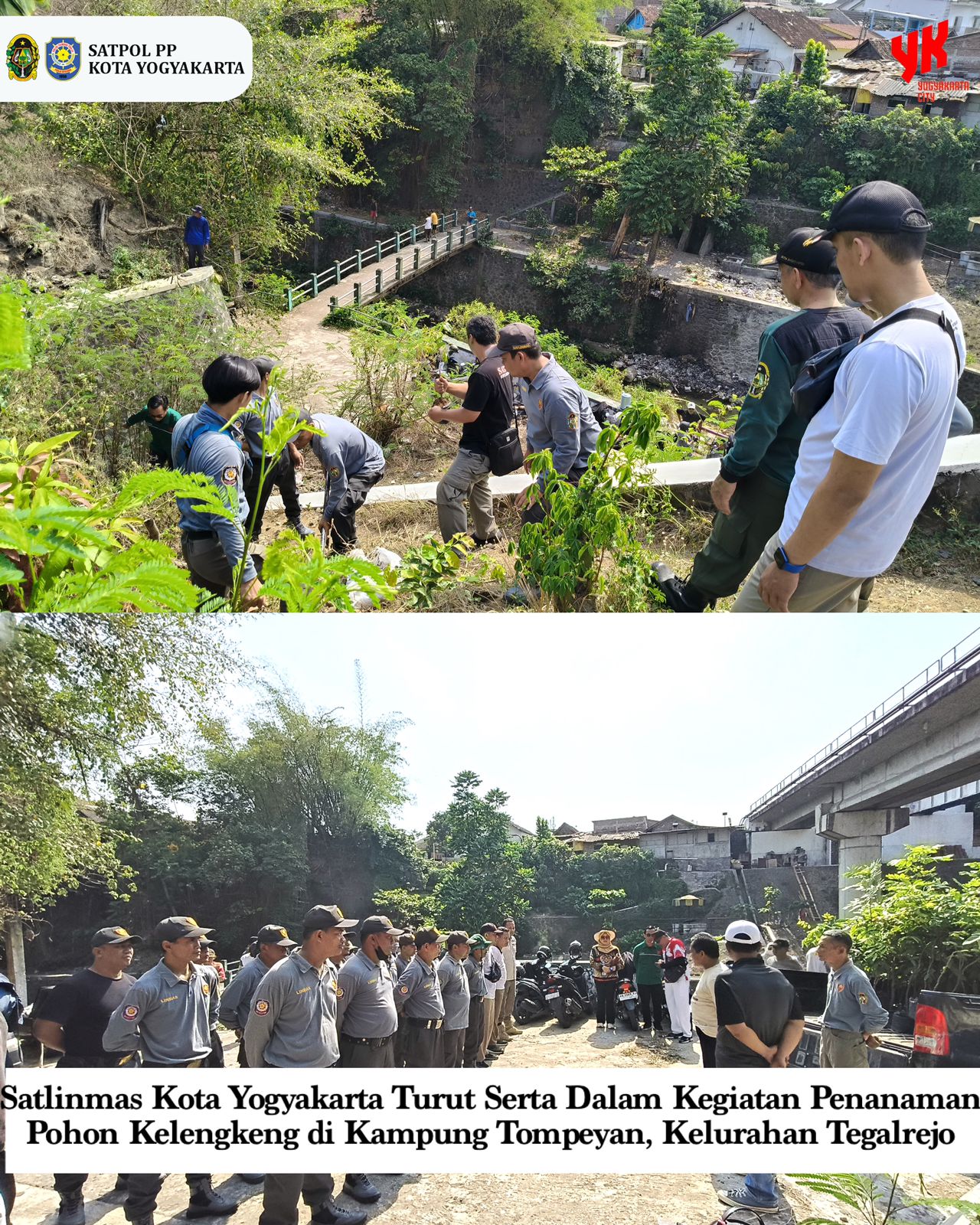 Satlinmas Kota Yogyakarta Turut Serta Dalam Kegiatan Penanaman Pohon Kelengkeng di Kampung Tompeyan, Kelurahan Tegalrejo