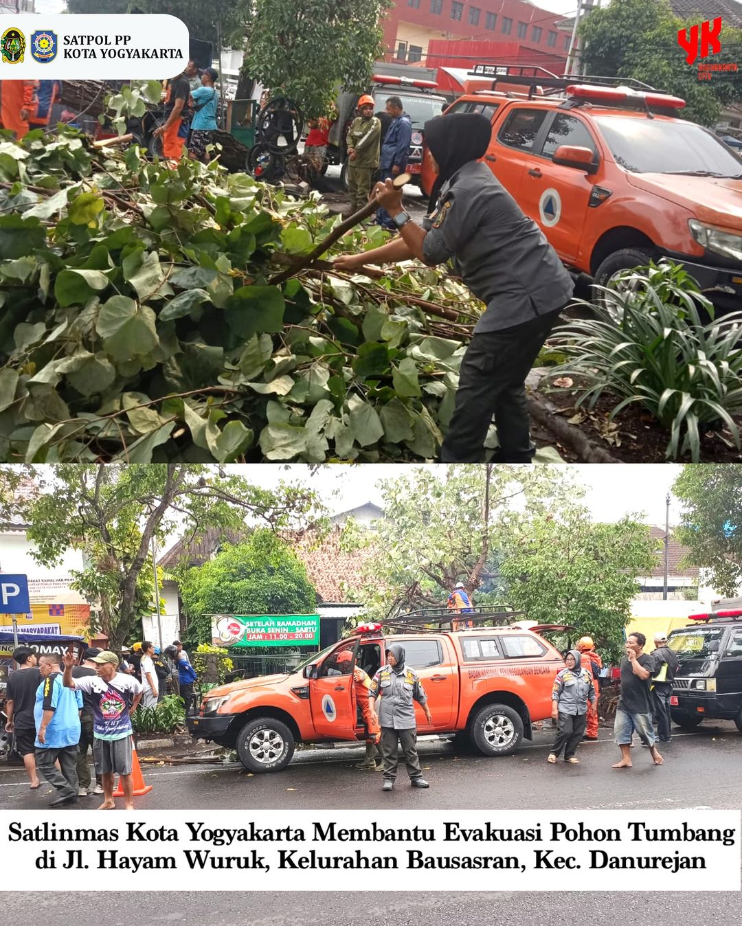 Satlinmas Kota Yogyakarta Membantu Evakuasi Pohon Tumbang dan Membersihkan Area Yang Terdampak Serta Mengatur Lalu Lintas